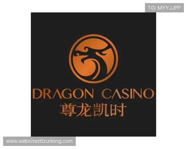 凯时尊龙总代理的优势与发展策略助你实现稳定盈利与长远发展